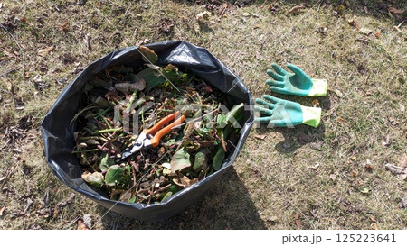 Gardening Tools and a Waste Container Positioned Harmoniously in a Natural Outdoor Setting 125223641
