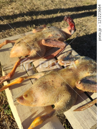 Two Ducks that are Prepared for Cooking on a Wooden Plank Await the Chefs Attention Two Ducks that are Prepared for Cooking on a Wooden Plank Await the Chefs Attention 125223664