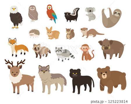 森に住む動物のイラストセット 125223814