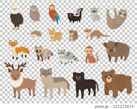 森に住む動物のイラストセット 125223814