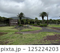 ヤシの木のある公園 125224203
