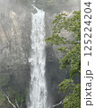 壮大な滝 125224204