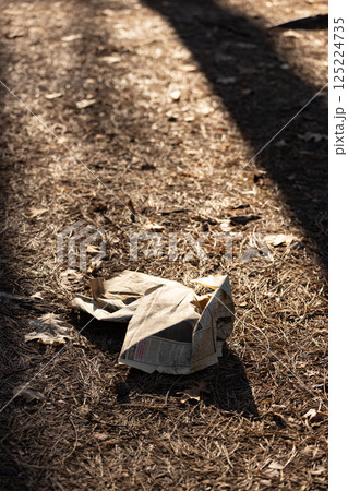 A Forgotten Piece of Newsprint Lies on the Ground Surrounded by Fallen Leaves and Pine Needles in a Sunlit Forest Setting, Highlighting Nature's Beauty and Urban Disposal Challenges 125224735