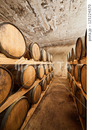 An Empty Rustic Wine Cellar Featuring Rows of Large Wooden Barrels Arranged Neatly on Wooden Racks with Natural Stone Walls and a Concrete Ceiling in a Cozy Mellow Atmosphere 125224870