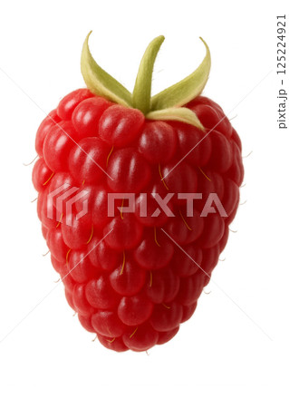 Fresh Red Raspberry Displaying Vibrant Color and Unique Texture Against a Plain Background Fresh Red Raspberry Displaying Vibrant Color and Unique Texture Against a Plain Background 125224921