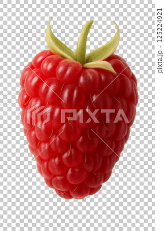 Fresh Red Raspberry Displaying Vibrant Color and Unique Texture Against a Plain Background Fresh Red Raspberry Displaying Vibrant Color and Unique Texture Against a Plain Background 125224921