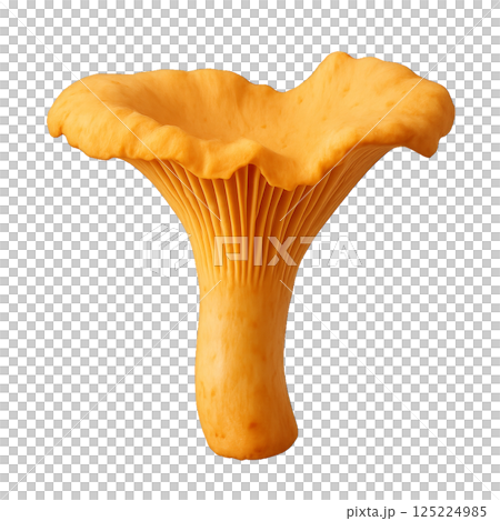 Chanterelle Mushroom With Vibrant Yellow Color and Unique Shape Discovered in the Forest During Autumn 125224985