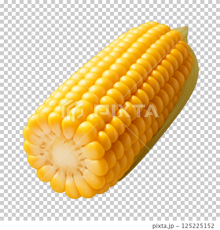Freshly Harvested Corn on the Cob Ready for Cooking and Enjoyment in the Kitchen 125225152