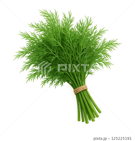 Fresh Bunch of Green Herbs Gathered in a Neat Tie for Culinary Use in a Kitchen Setting 125225191