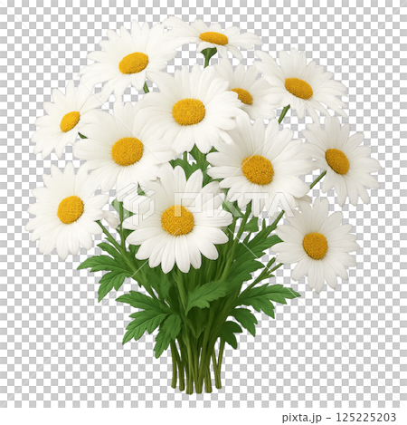 Beautiful Bouquet of White Daisies With Yellow Centers Arranged for Decoration or Gift Purposes 125225203