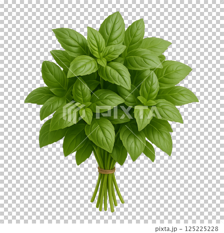 Fresh Basil Bunch Ready for Cooking and Garnishing in a Kitchen Setting 125225228