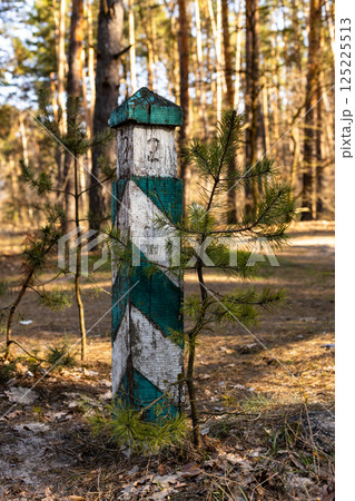 A Beautifully Weathered Landmark: The Vertical Post with a Unique Design Surrounded by Nature in a Pine Forest Setting A Beautifully Weathered Landmark: The Vertical Post with a Unique Design Surrounded by Nature in a Pine Forest Setting 125225513