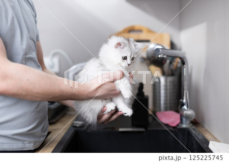 Adorable White Kitten Being Held Over Kitchen Sink with a Soft Fur Coat and Curious Expression by a Person in Casual Grey T-Shirt with a Modern Kitchen Background 125225745