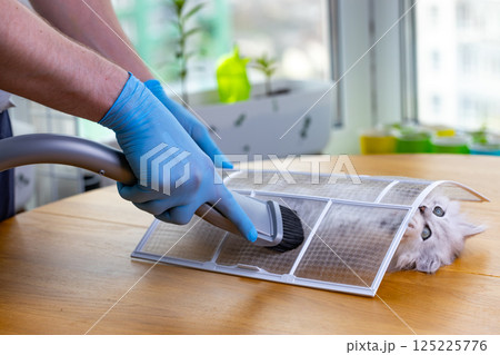 A Cat's Quirky Encounter with a Vacuum Tool While Being Safely Positioned on a Table at Home, Highlighting the Fun Elements of Pet Care and Grooming in an Indoor Setting 125225776