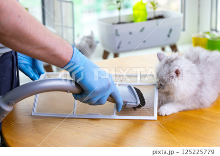 Caring for a Clean Home: A Person Using a Vacuum Cleaner Attachment While a Curious Cat Observes the Cleaning Activity on a Wooden Table in a Bright Room 125225779
