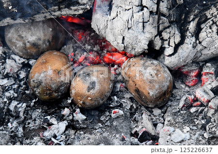 Picnic in nature. Cooking potatoes and kebabs over the fire. Fire texture. Coals and flames. Macro filming. 125226637