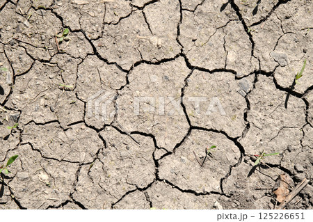 Drying cracks forming a characteristic pattern in clay soil. Natural background. World climate change, water crisis. Cracked earth. Takir, takyr soils. Landform, drying out saline soil i Drying cracks forming a characteristic pattern in clay soil. Natural background. World climate change, water crisis. Cracked earth. Takir, takyr soils. Landform, drying out saline soil i 125226651