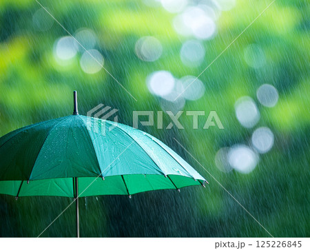 雨の日の傘 125226845