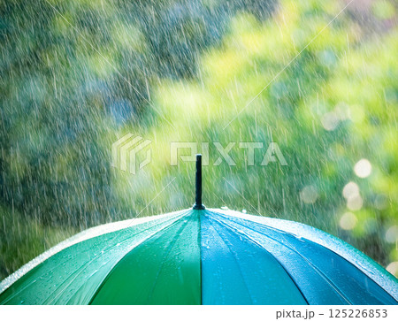 雨の日の傘 125226853