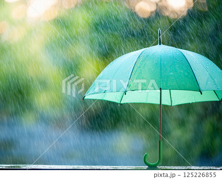 雨の日の傘 125226855