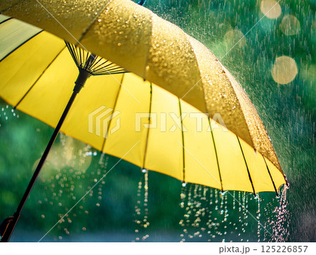 雨の日の傘 125226857