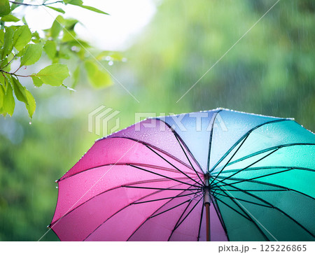 雨の日の傘 125226865