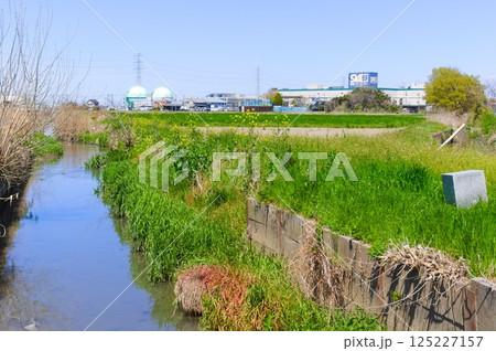 埼玉県さいたま市新方川源流地点周辺2025年4月 125227157