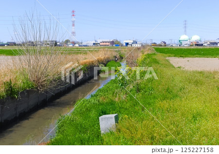 埼玉県さいたま市新方川源流地点周辺2025年4月 125227158