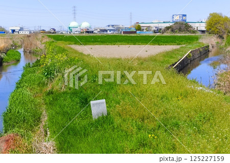 埼玉県さいたま市新方川源流地点周辺2025年4月 125227159