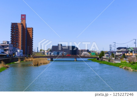 埼玉県春日部市古利根川2025年4月 125227246