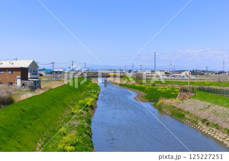 埼玉県春日部市倉松川2025年4月 埼玉県春日部市倉松川2025年4月 125227251