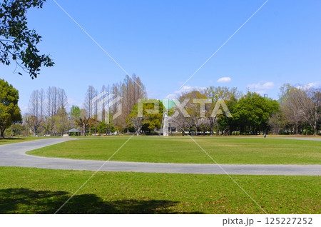 埼玉県春日部市庄和総合公園周辺2025年4月 125227252