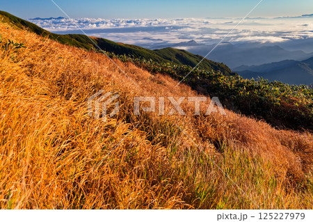 朝の飯豊連峰・門内岳の草紅葉と雲海 125227979