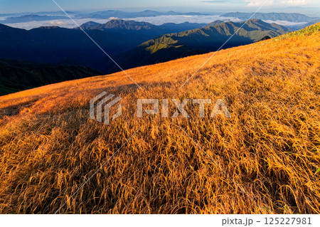 飯豊連峰・門内岳の草紅葉と朝の山並み 飯豊連峰・門内岳の草紅葉と朝の山並み 125227981
