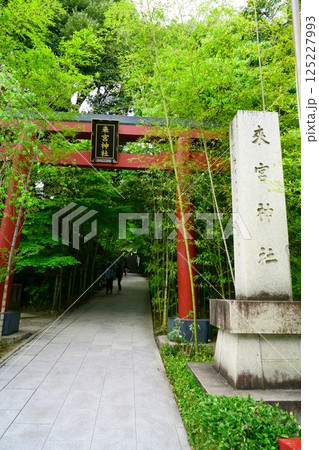 7793 來宮神社 7793 來宮神社 125227993