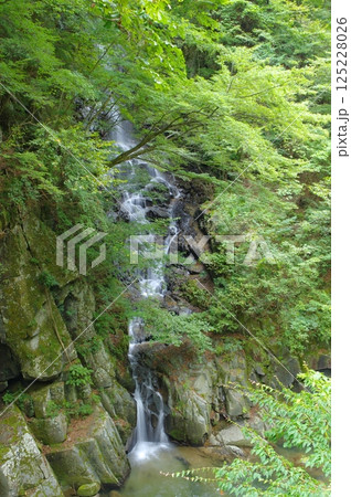 夏の笛吹川・名瀑一之釜・釜沢の滝 夏の笛吹川・名瀑一之釜・釜沢の滝 125228026