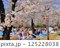 お花見のイメージ　満開の桜の下でお花見を楽しむ　東京都北区飛鳥山のお花見の風景 125228038