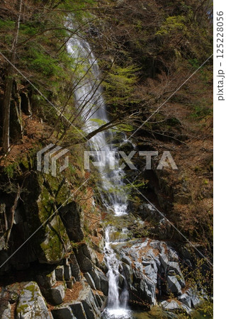 春の笛吹川・名瀑一之釜・釜沢の滝 125228056