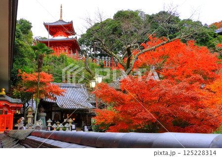 秋の信貴山朝護孫子寺(奈良県生駒郡) 秋の信貴山朝護孫子寺(奈良県生駒郡) 125228314