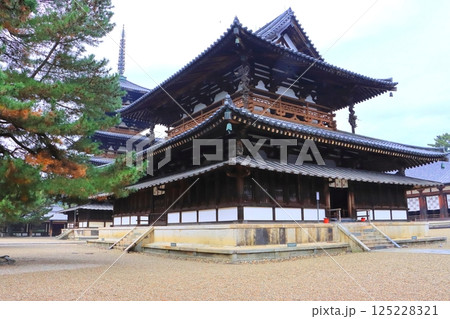 法隆寺（金堂・五重塔・国宝・奈良県斑鳩町） 125228321