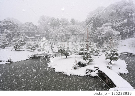 雪が降る美しい金沢城玉泉院丸庭園 雪が降る美しい金沢城玉泉院丸庭園 125228939