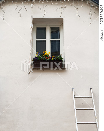 Window with flower box and ladder in prague, czechia 125229802