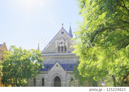新緑の木々に囲まれたアデレードの大学近辺の風景 新緑の木々に囲まれたアデレードの大学近辺の風景 125229823