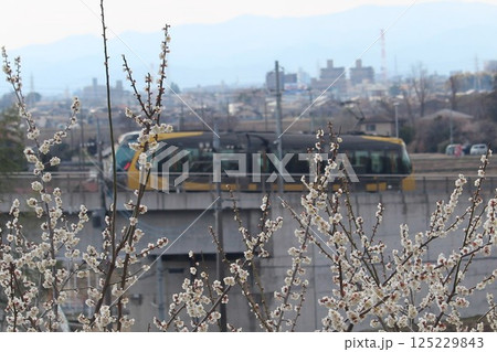宇都宮LRT 125229843