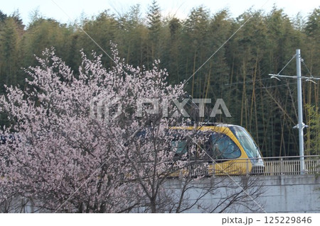 宇都宮LRT 125229846