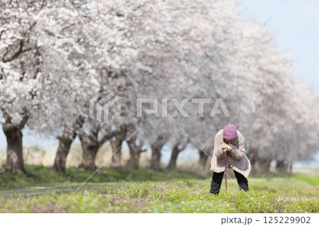 高齢化社会 125229902