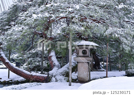 雪景色が美しい兼六園 125230171