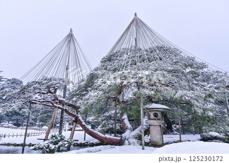 雪景色が美しい兼六園 125230172
