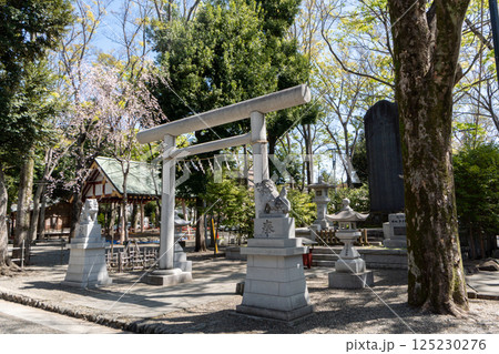 戦没者慰霊碑　大国魂神社　府中市　東京都 125230276