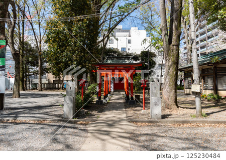 厄除け　大国魂神社　府中市　東京都 125230484